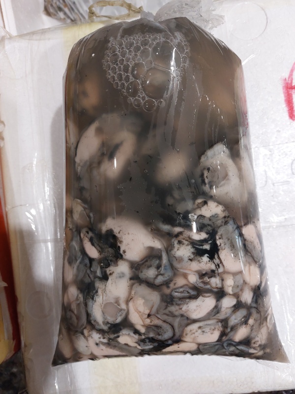 蠔仔