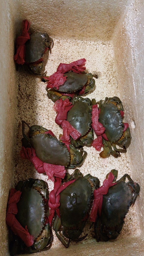 膏蟹