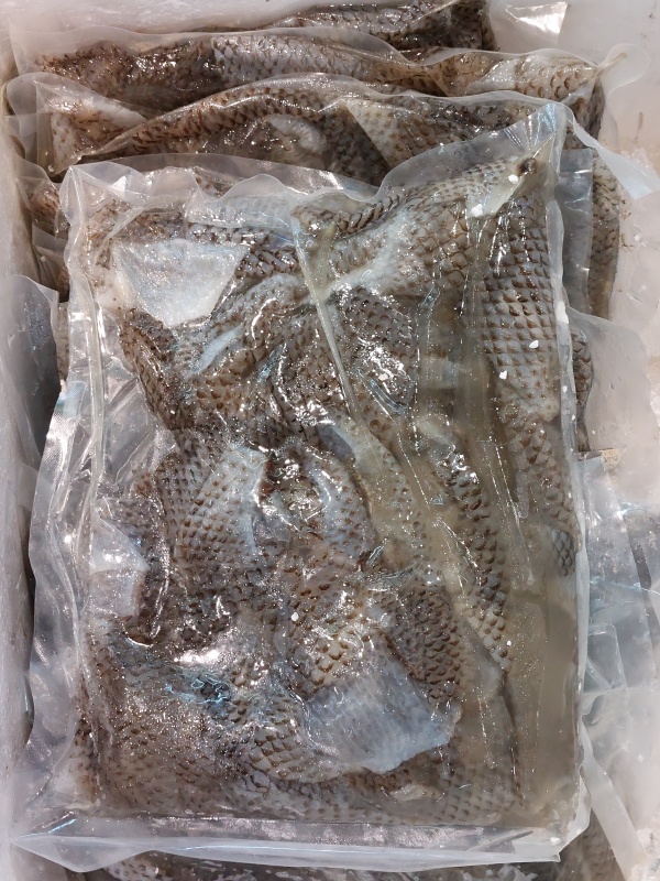 鮮魚皮