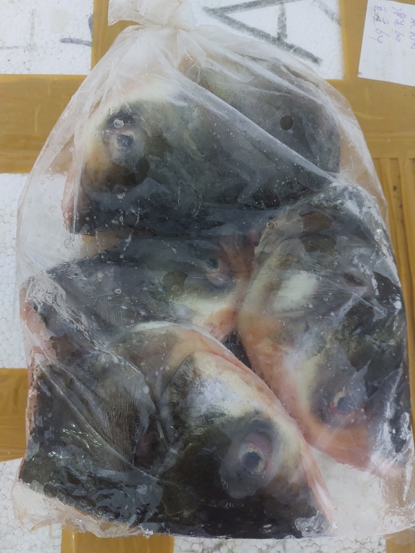 冰鮮包裝魚頭
